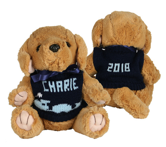 Plush Stuffed Dog with Personalized Sweater